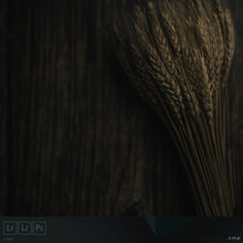 Load image into Gallery viewer, benj™ Custom Presets | Cinema Prelude