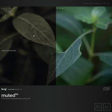 Load image into Gallery viewer, benj™ | Deep Cinema x Muted Bundle