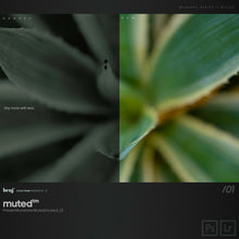 Load image into Gallery viewer, benj™ | Deep Cinema x Muted Bundle