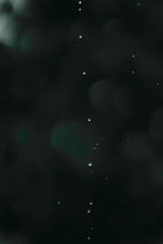 Load image into Gallery viewer, benj™ | Deep Cinema x Muted Bundle