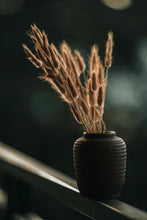 Load image into Gallery viewer, benj™ | Deep Cinema x Muted Bundle