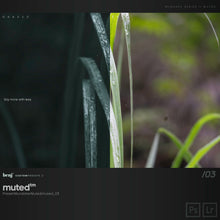 Load image into Gallery viewer, benj™ | Deep Cinema x Muted Bundle
