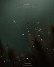 Load image into Gallery viewer, benj™ BUNDLE / OMNIBUS (The Complete Collection)