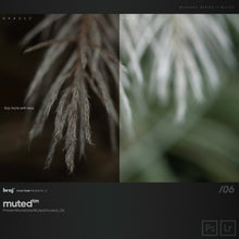 Load image into Gallery viewer, benj™ | Deep Cinema x Muted Bundle