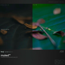 Load image into Gallery viewer, benj™ | Deep Cinema x Muted Bundle