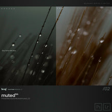 Load image into Gallery viewer, benj™ | Deep Cinema x Muted Bundle